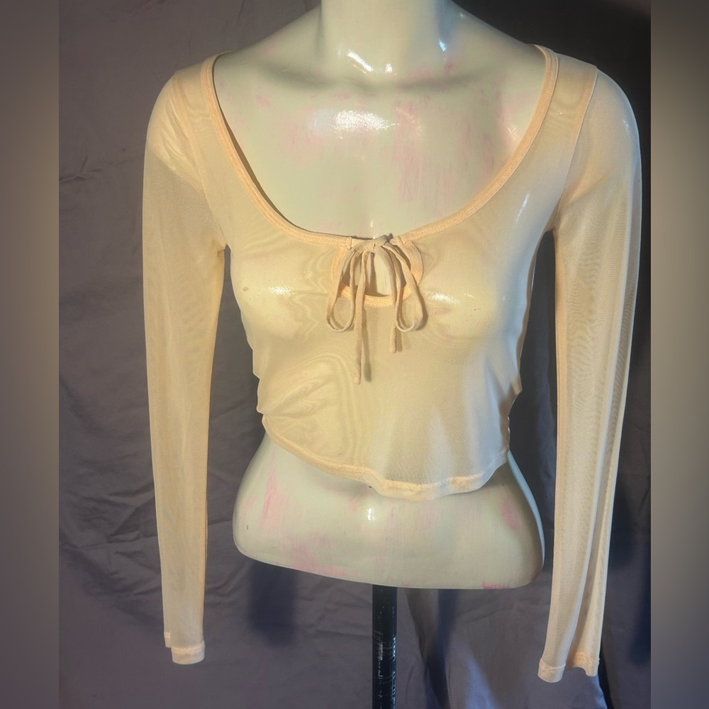 PacSun Peach Sheer Long Sleeve Blouse